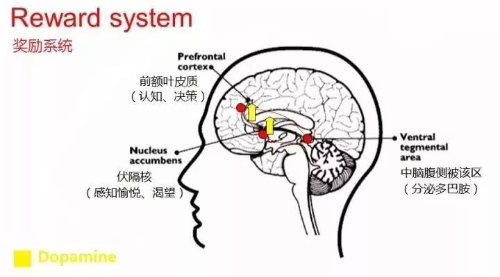 微信圖片_20211221141508.jpg